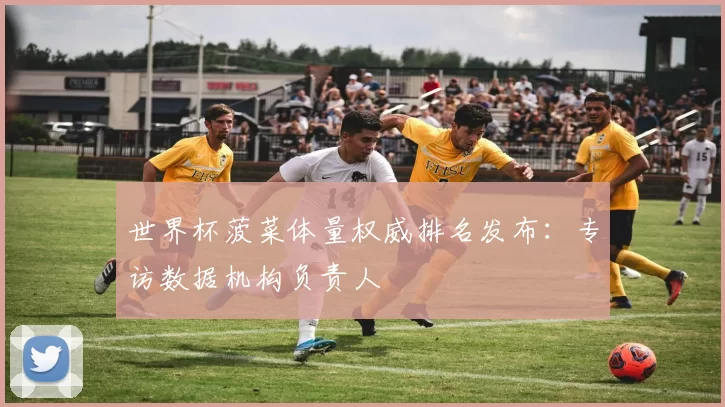 世界杯菠菜体量权威排名发布：专访数据机构负责人