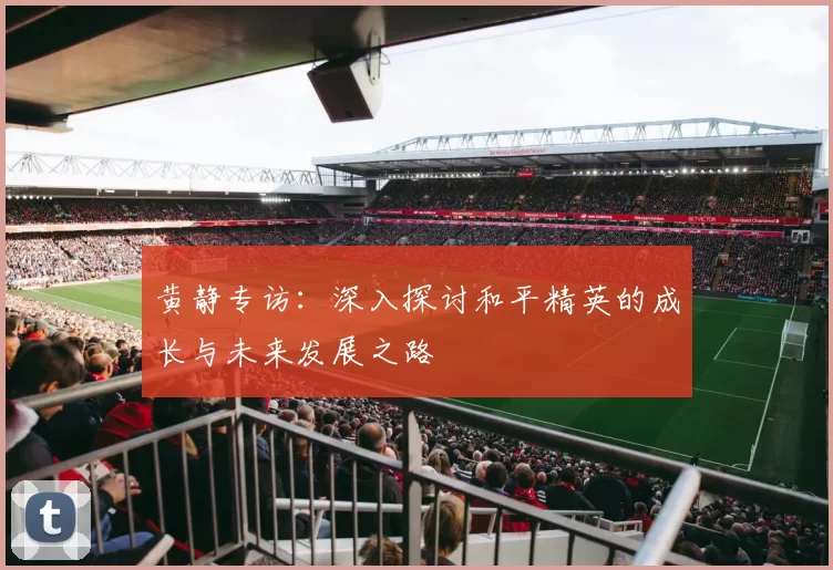 黄静专访:深入探讨和平精英的成长与未来发展之路