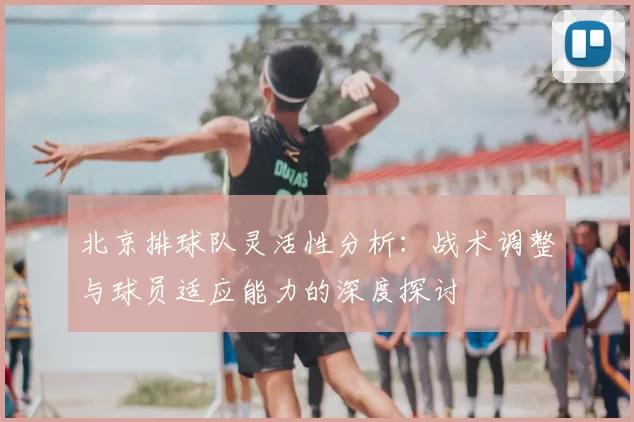 北京排球队灵活性分析：战术调整与球员适应能力的深度探讨