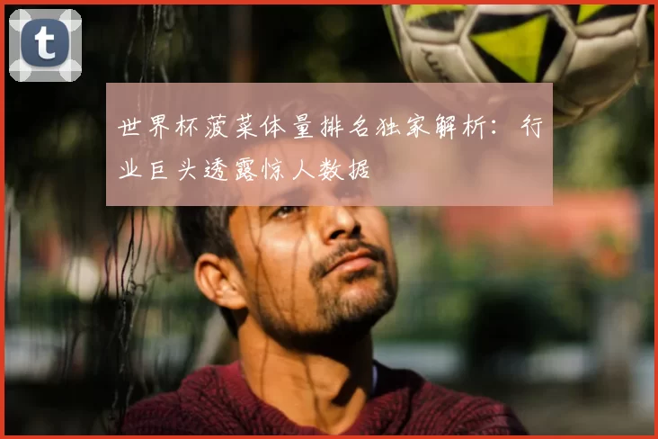 世界杯菠菜体量排名独家解析：行业巨头透露惊人数据