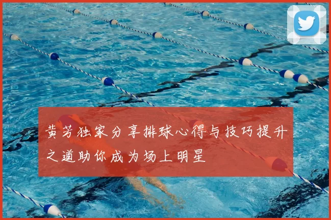 黄芳独家分享排球心得与技巧提升之道助你成为场上明星