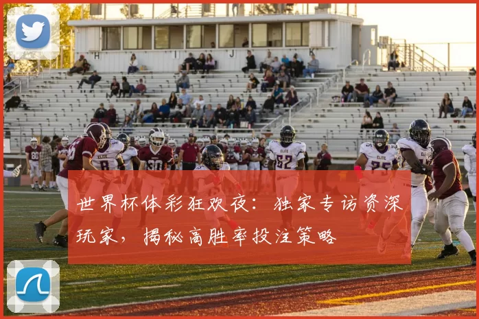 世界杯体彩狂欢夜:独家专访资深玩家,揭秘高胜率投注策略