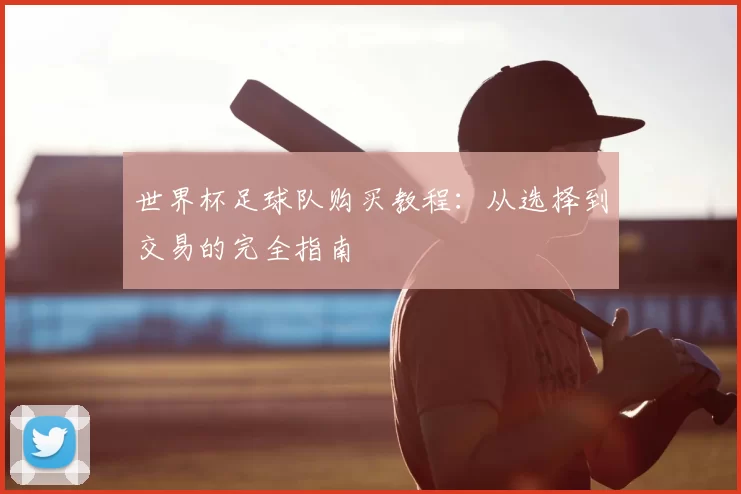 世界杯足球队购买教程:从选择到交易的完全指南