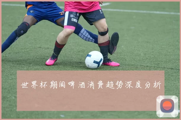 世界杯期间啤酒消费趋势深度分析