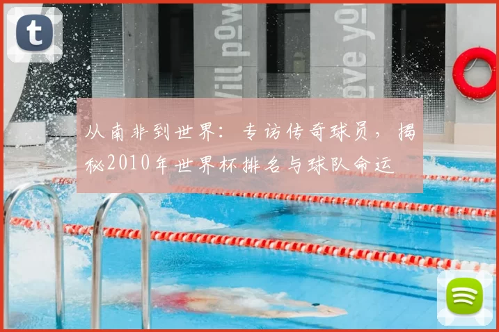 从南非到世界:专访传奇球员,揭秘2010年世界杯排名与球队命运