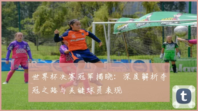 世界杯决赛冠军揭晓：深度解析夺冠之路与关键球员表现