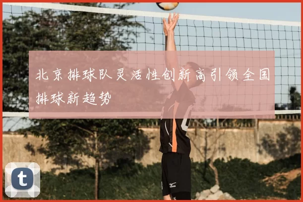 北京排球队灵活性创新高引领全国排球新趋势