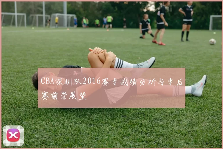 CBA深圳队2016赛季战绩分析与季后赛前景展望