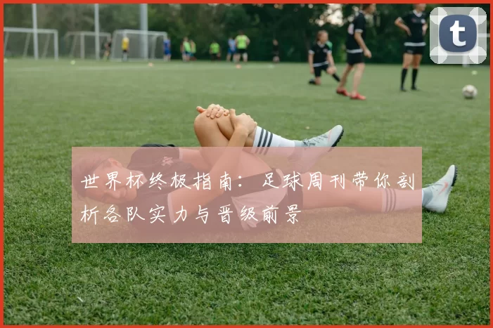 世界杯终极指南：足球周刊带你剖析各队实力与晋级前景